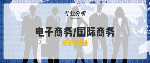 电子商务专业河北省单招